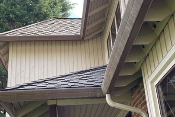 Gutter Cleaning King County WA