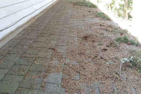 Moss Removing From Roof