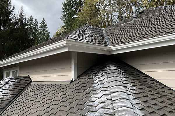 Professional Roof and Gutter Cleaning
