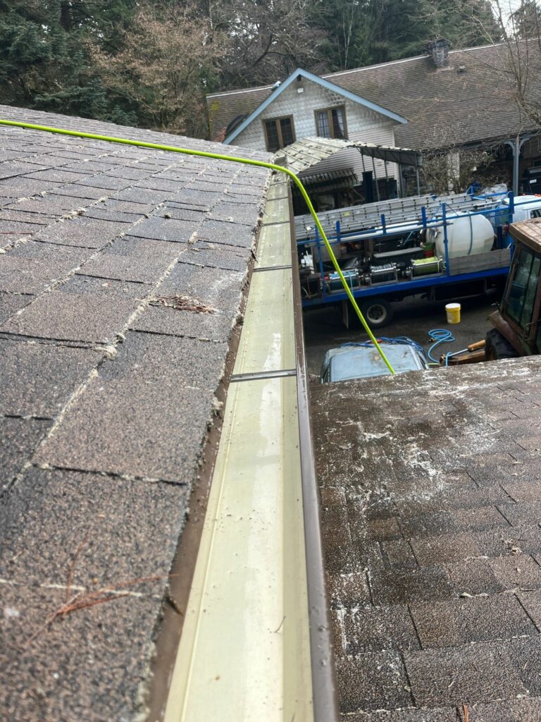Roof and Gutter Cleaner