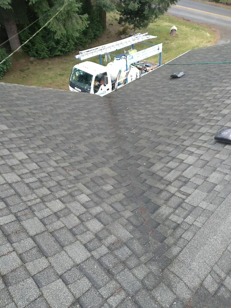 Roof Cleaning Services In Hollywood Hill WA