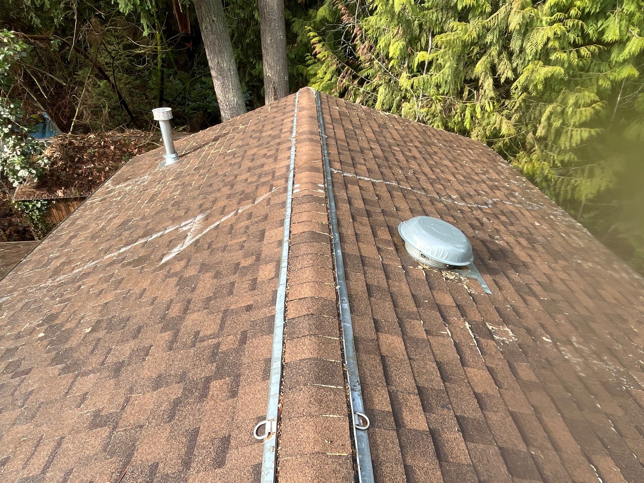 Professional Roof Washing