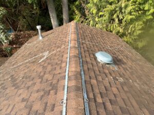 Tile Roof Cleaning Service