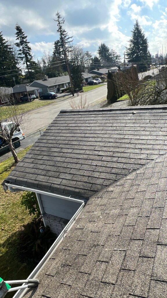 Roof Cleaning Service 