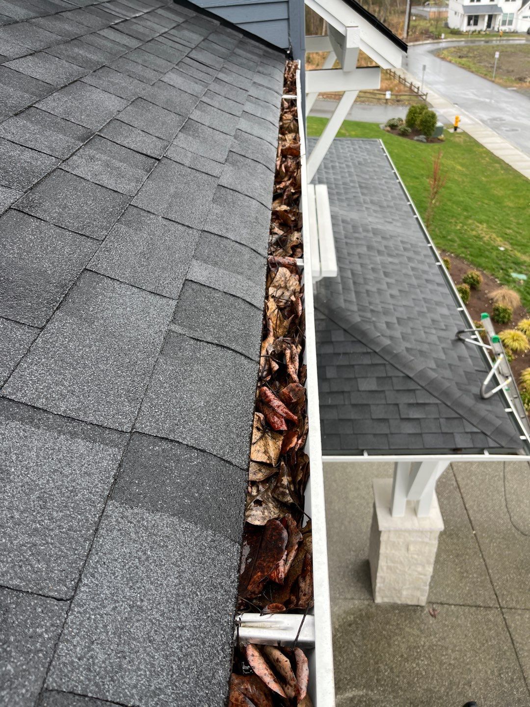 Gutter Cleaning 101