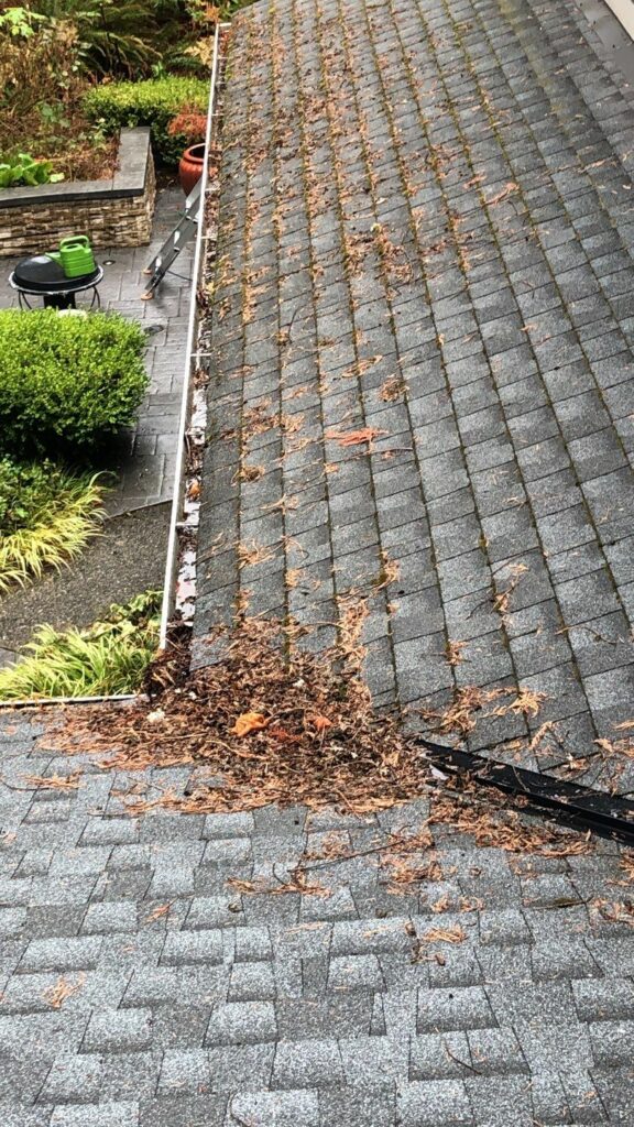  Roof Dirt and Debris Removal 