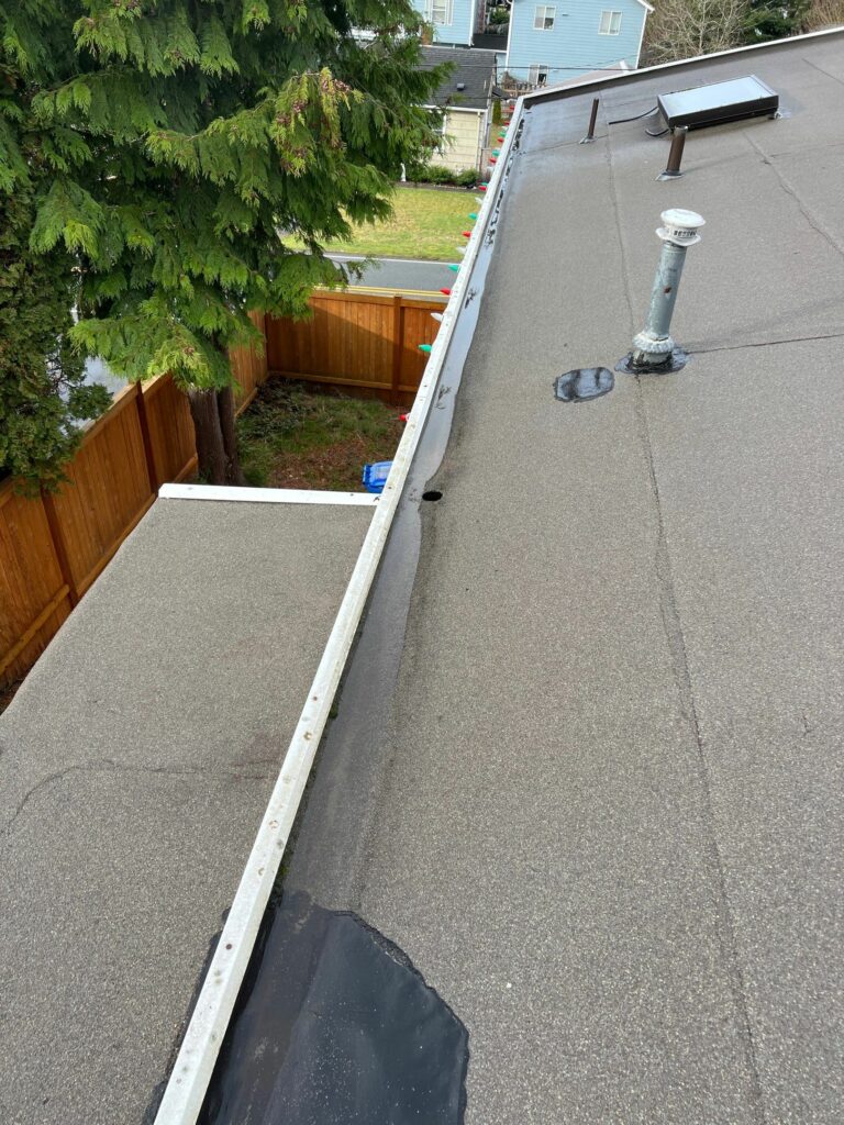 Professional Roof Cleaner Magnolia WA