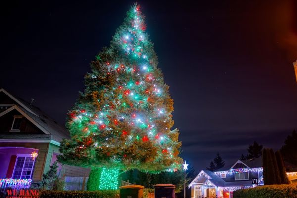 Clean425 professional Christmas lighting service for commercial property in Snohomish WA