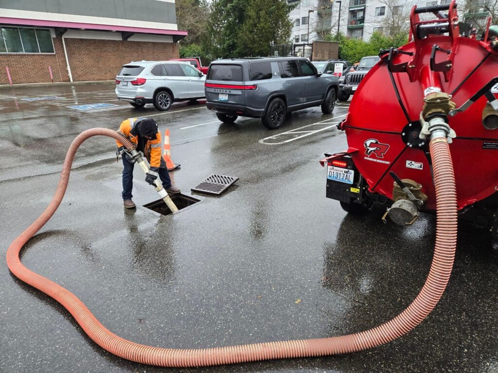 Clean425 Catch Basic Cleaning service in Snohomish WA