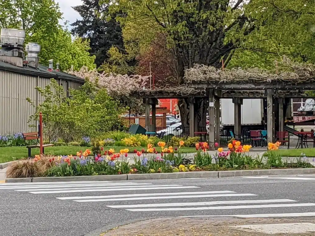 Issaquah, WA