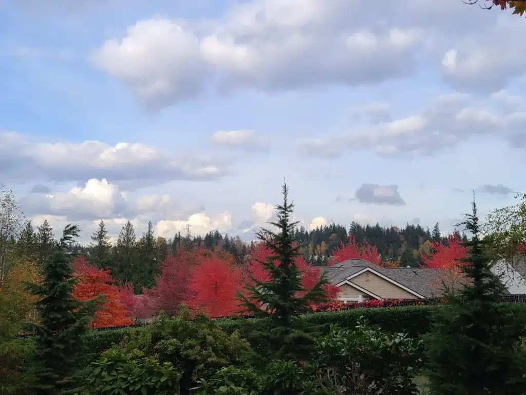 Sammamish, WA