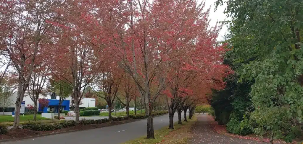 Bothell, WA